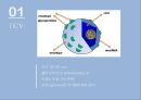 의학 - Hepatitis C(간의복병 C형간염) 4페이지