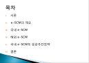 e-SCM의 현황과 발전전략.PPT  2페이지