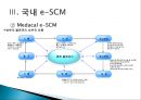 e-SCM의 현황과 발전전략.PPT  13페이지