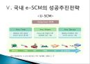 e-SCM의 현황과 발전전략.PPT  32페이지