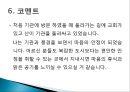 평안복지재단 지리산실버타운 실습기관분석(사회복지현장실습, 노인복지시설) PPT, 파워포인트 19페이지