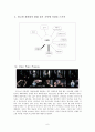 [사례를 통한 광고 분석] 소비자 정보처리 과정 (광고 FCB 모델, 광고 TV 매체 효과, SM5 & 디오르 퓨어 포이즌 (Dior Pure Poison) & 헤드 앤 숄더(Head & Shoulder) & 델몬트 망고 광고 사례 분석) 9페이지