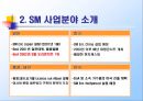 보아 마케팅 (Boa marketing).PPT [SM 엔터테인먼트 Entertainment 분석, 보아 분석, 상황 분석, STP 분석, 마케팅믹스 (4P’s) 전략) 5페이지