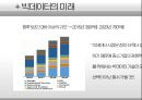 BIGDATA 빅데이터 개념분석,문제점과 시장상황분석및 중소기업의 빅데이터 활용전략 분석 PPT 레포트 22페이지