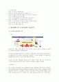 11번가 vs 알리바바 기업분석과 SWOT분석및 알리바바,11번가의 성공요인 분석 경영전략 비교분석및 나의의견정리 레포트 6페이지