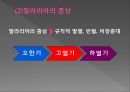 모기의 분류 및 형태 28페이지