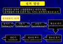 설리반(Harry Stack Sullivan)의 대인관계 이론.ppt 13페이지