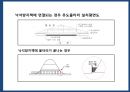 야생동물 도로 교통사고 예방시설[로드킬(road-kill)] 21페이지