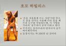 [선사시대-1] 지질시대와 인류등장 - 인간과 유인원.pptx
 5페이지