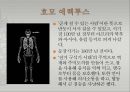 [선사시대-1] 지질시대와 인류등장 - 인간과 유인원.pptx
 6페이지