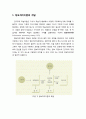 [교육심리학] 학습의 과정과 기억(정보처리이론) (sensory register) 
 - 정보처리이론의 개념, 정보처리이론의 물리적 구성 요소, 정보처리이론의 정보처리 과정 2페이지