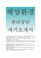 해양환경관리공단 청년인턴 자기소개서 - 해양환경관리공단 청년인턴 자소서,해양환경관리공단 지원동기,공직자 바람직한자세,팀워크 중요성, 열정 수행(해양환경관리공단 우수 자소서) 이력서 1페이지