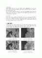 [SEM촬영 보고서] 주사전자 현미경을 이용한 이미지 관찰 실험(전복껍데기와 손톱의 미세구조) 6페이지