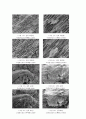 [SEM촬영 보고서] 주사전자 현미경을 이용한 이미지 관찰 실험(전복껍데기와 손톱의 미세구조) 7페이지