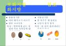 지질과 뇌졸중 - 지방에 대함과 뇌졸증과의 연관성,정의.ppt 7페이지