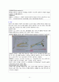 정형외과 골반질환손상 골반구조 간호과정 케이스 스터디 Case Study - 진단명: acetabulum Fx(비구골절) 주호소: Rt leg tingling sense, Rt leg pain 12페이지