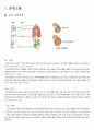 [아동간호학] 급성기관지염 케이스 스터디 case study 폐렴 환자 사례 보고서 - 의학적 진단명(Impression 또는 Diagnosis) Acute bronchitis, unspecified  3페이지