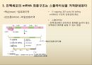 유전자 발현, DNA→RNA→단백질,전사-DNA 정보가 mRNA로.pptx 11페이지