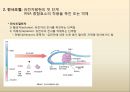 유전자 발현, DNA→RNA→단백질,전사-DNA 정보가 mRNA로.pptx 12페이지