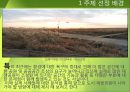 재생공원(再生公園)의 개념과 사례, 그리고 입지적 특성 - 하늘공원, 선유도공원, 용마폭포공원.pptx 4페이지