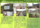 재생공원(再生公園)의 개념과 사례, 그리고 입지적 특성 - 하늘공원, 선유도공원, 용마폭포공원.pptx 17페이지