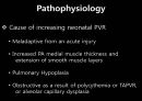 Persistent pulmonary hypertension of the newborn 신생아 지속성폐동맥고혈압 [영어,영문].pptx 7페이지