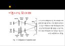 자동화시스템 - 모아레 센서(moire) 9페이지