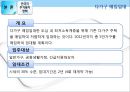 한국과 중국의 주거복지정책 비교.pptx 33페이지