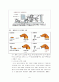 장애인복지법의 이해(장애인복지법입법, 장애인복지법제정, 적용대상, 장애인복지법이슈, 문제점, 개선방안) 9페이지