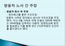 청년실업과 비정규직.pptx 15페이지