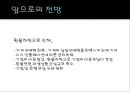 미국(US)의 금융위기와 각국의 위기대응현황, 그리고 전망.ppt
 21페이지