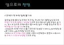 미국(US)의 금융위기와 각국의 위기대응현황, 그리고 전망.ppt
 22페이지