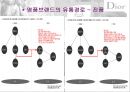 [명품 브랜드 크리스찬 디올 이미지 관리] 디올 (Dior) -  명품(크리스찬 디올)의 조건, 디오브랜딩 전략, 이미지 관리, 유통전략, 명품 판촉, 명품 전략, 명품 시장 전망, (크리스찬 디올).ppt 29페이지