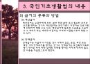 공공부조법  33페이지