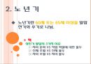 장년기와 노년기.pptx 24페이지