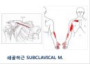 02. 가슴 근육 (chest muscle)의 기시, 정지 , 작용 , TP사진, 기능적 단위 등.pptx 7페이지