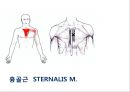02. 가슴 근육 (chest muscle)의 기시, 정지 , 작용 , TP사진, 기능적 단위 등.pptx 14페이지