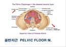 03. 골반 근육 (pelvic muscle)의 기시, 정지 , 작용 , TP사진, 기능적 단위 등.pptx 14페이지