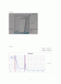 [물리화학 실험] 클로로필(엽록소) 흡수스펙트럼 Absorption Spectrum of Chlorophyll 8페이지