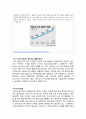 [★★평가우수자료★★][다문화多文化 공동체] 다문화 공동체 개념, 다문화 공동체 특징, 다문화 공동체 현황, 다문화 공동체 사례, 인천 차이나타운, 서울시 대림동 중국인 거리, 몽골 타운 분석, 해외 다문화 공동 11페이지