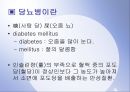 당뇨병 (糖尿病).ppt 3페이지