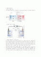 화학전지 실험 (예비) : 금속의 산화력 또는 환원력의 크기를 비교해보고, 질산아연과 질산구리를 이용하여 화학전지를 만들어 화학전지의 기전력을 측정한다 5페이지