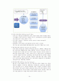 [사회社會투자국가 완벽분석] 사회투자국가 개념, 사회투자국가 등장배경, 사회투자국가 해외사례, 사회투자국가 한계, 사회투자국가 전망 24페이지