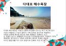 [관광정보시스템] 부산 - 사하구소개, 관광지 및 코스소개, 팜플렛 소개 13페이지