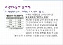 외국인 노동자의 현실  17페이지