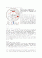 중산층 17페이지