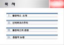 니코스 풀란차스 (신마르크스주의, 풀란차스의 관점).ppt 2페이지