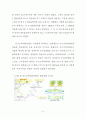 GMO(Genetically Modified Organism)의 기술 및 사회경제적 접근으로의 고찰 11페이지