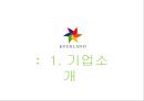 에버랜드 (Everland) 서비스 마케팅.pptx 4페이지