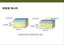 신·재생에너지의 이해 & 세계 각국의 신·재생에너지 산업 현황 : 신재생에너지 산업.pptx 9페이지